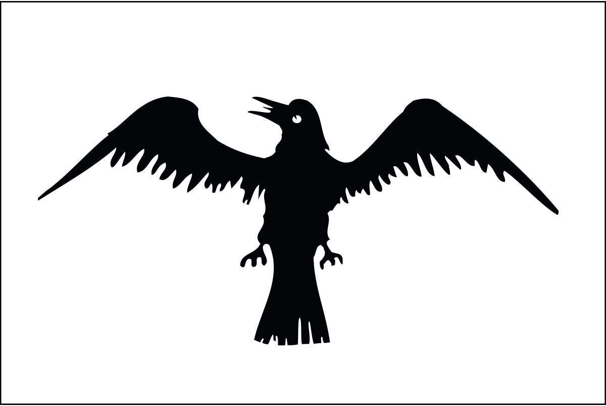 Discover the Mighty Raven Flag of the Vikings