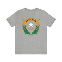 Nevada State Flag T Shirt: Bella + Canvas 3001