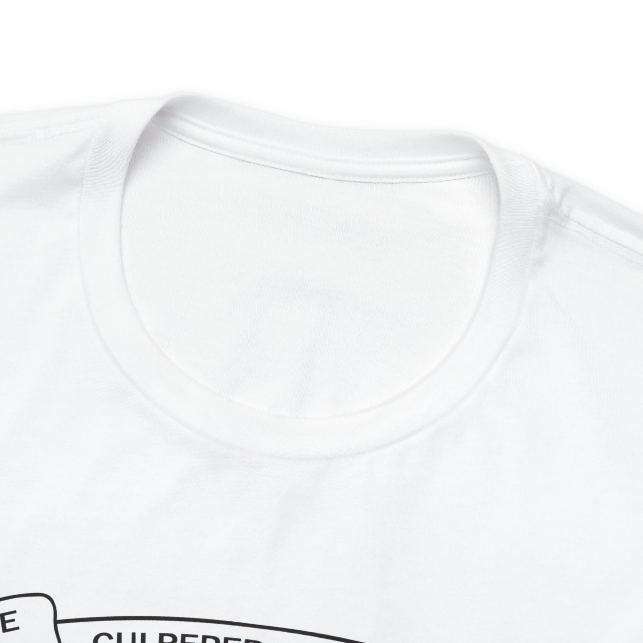 The Culpeper Minute Men Flag T Shirt: Bella + Canvas 3001